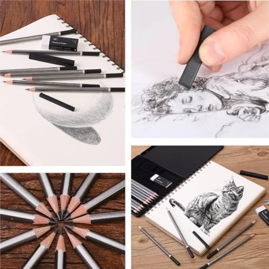 - Drawing Sketching Pencil Set, 19 pcs, Graphite Pencils 10B-6H Graphite Sticks, Erasers, Metal Sharpener, for Drawing, Sketchi
