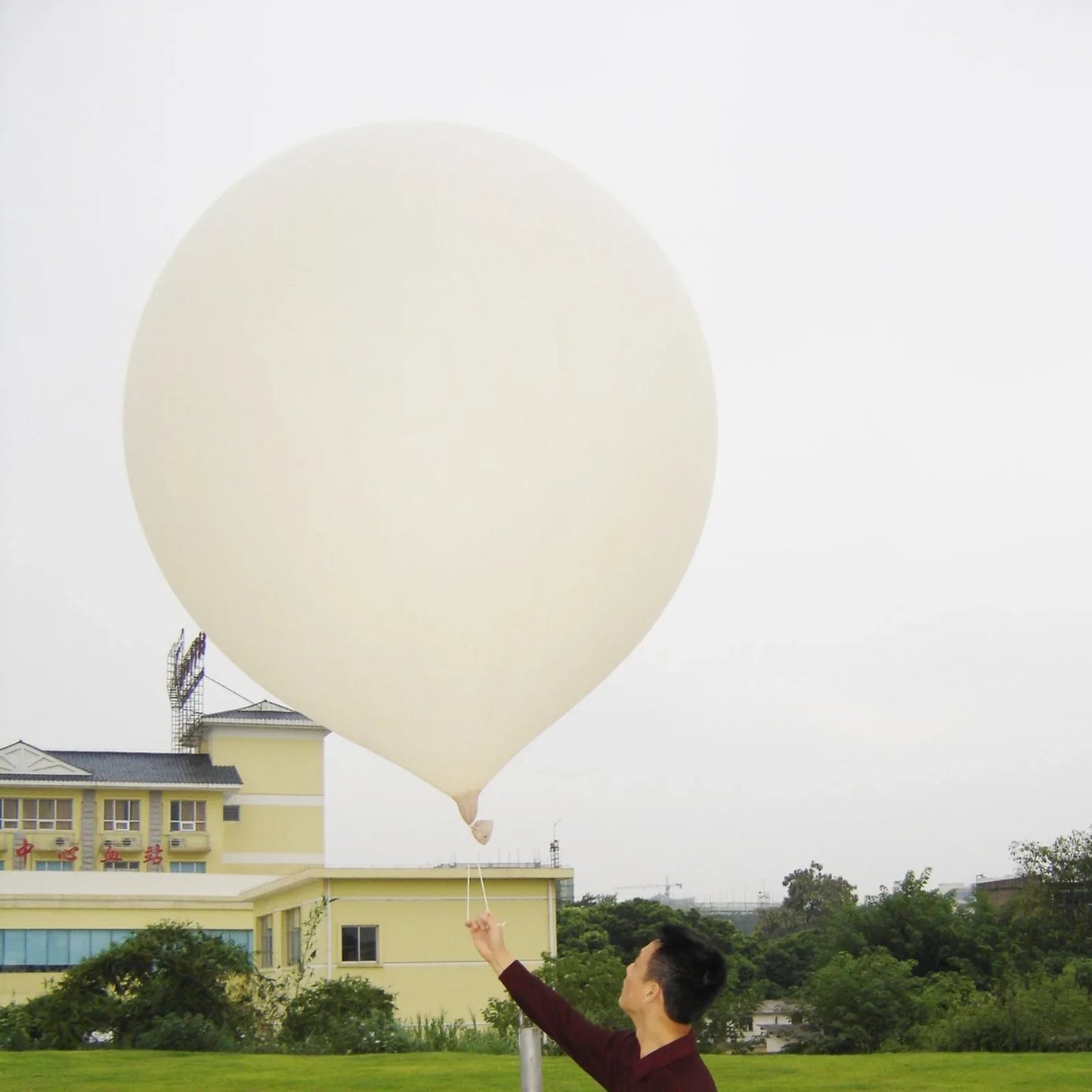 600g 600 gram souding meteorological weather balloon Wedding balloons come in a variety of sizes
