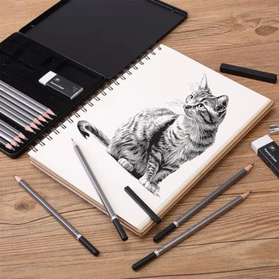 - Drawing Sketching Pencil Set, 19 pcs, Graphite Pencils 10B-6H Graphite Sticks, Erasers, Metal Sharpener, for Drawing, Sketchi