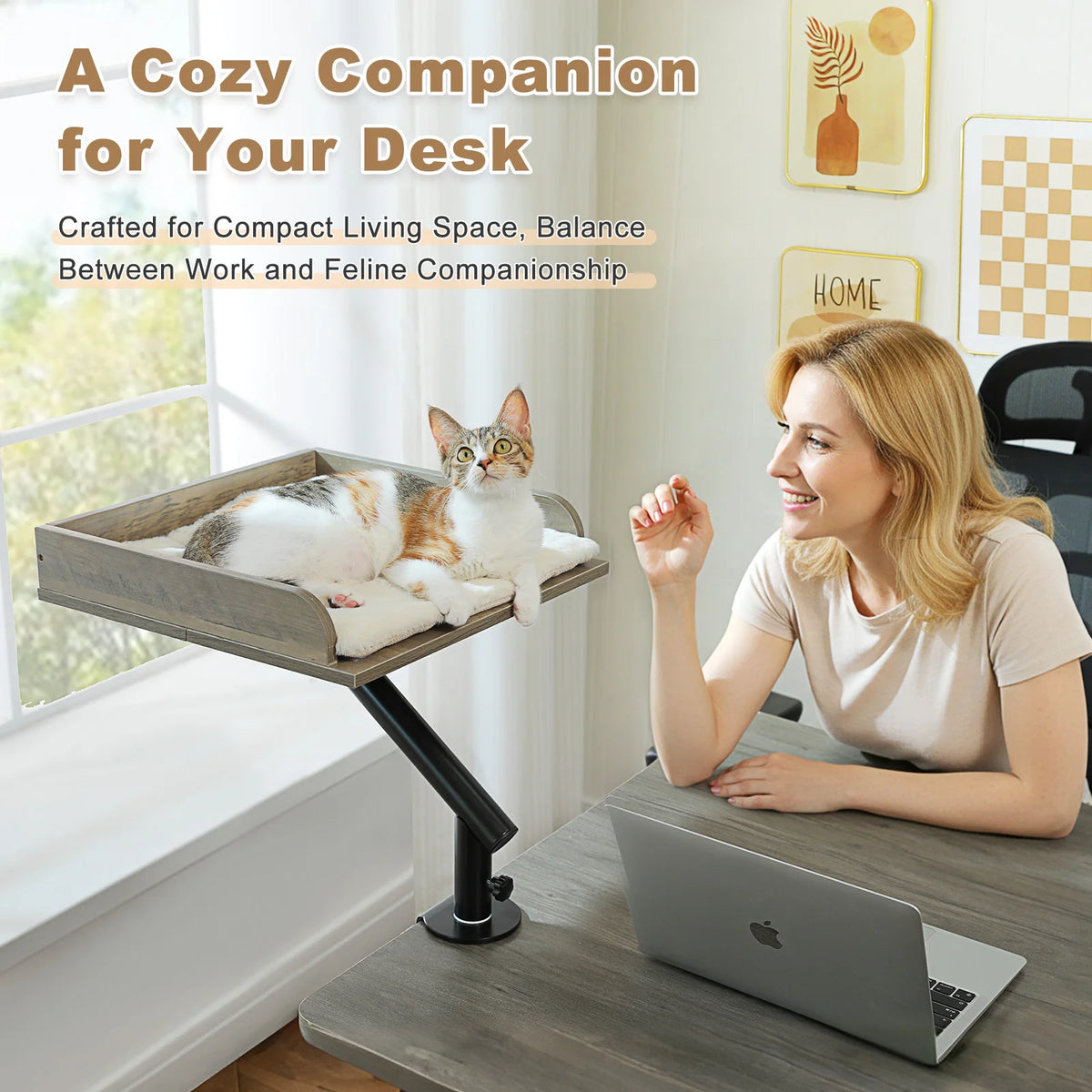 PAWZ Road Adjustable Cat Desk Bed With Plush Hammock